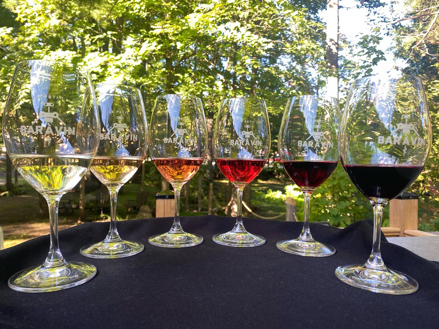 Wine Tasting at Le Petit Bar à Vin Chelsea, Quebec