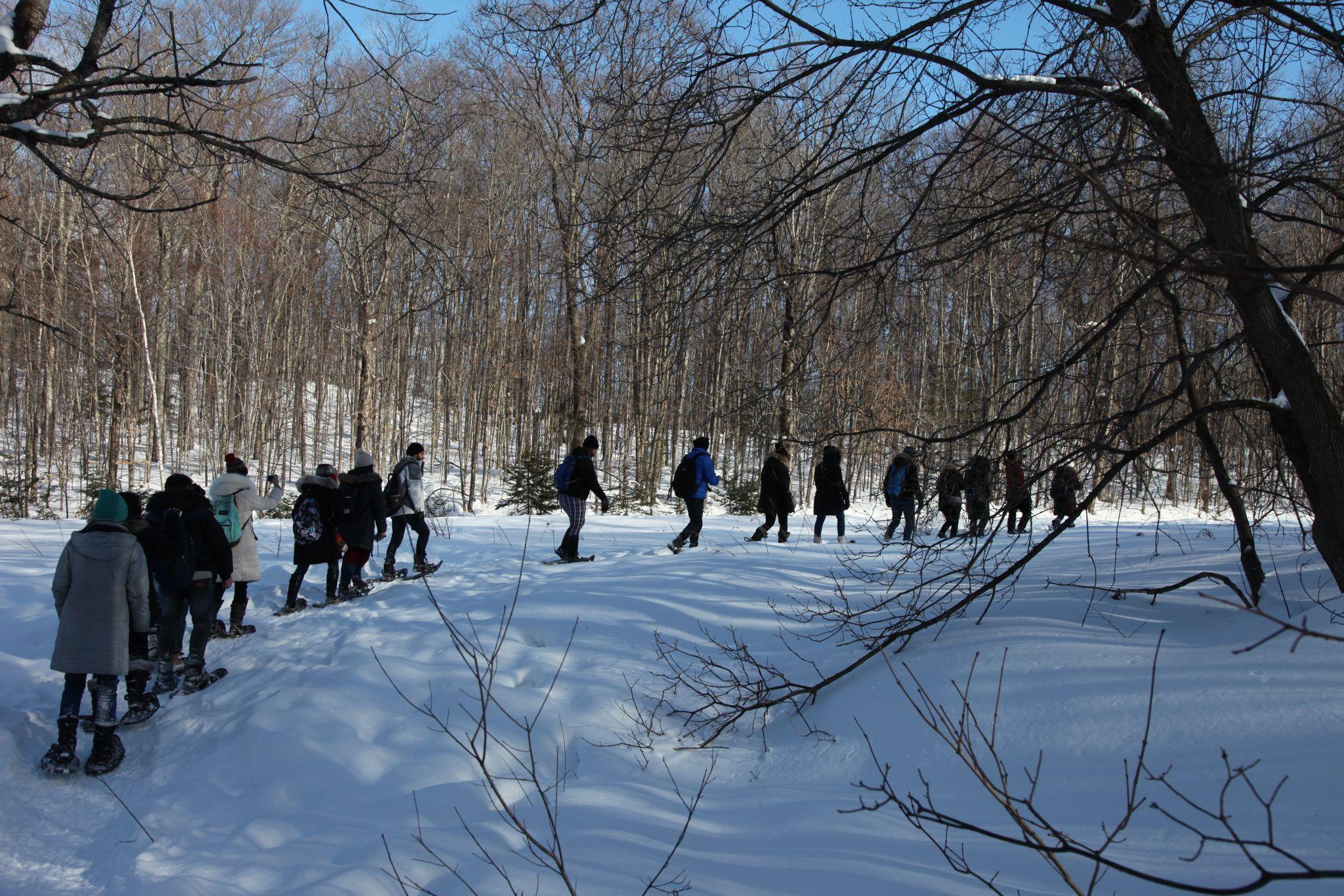Embracing Winter Guided Snowshoe Hikes in Gatineau Park Chelsea, Quebec