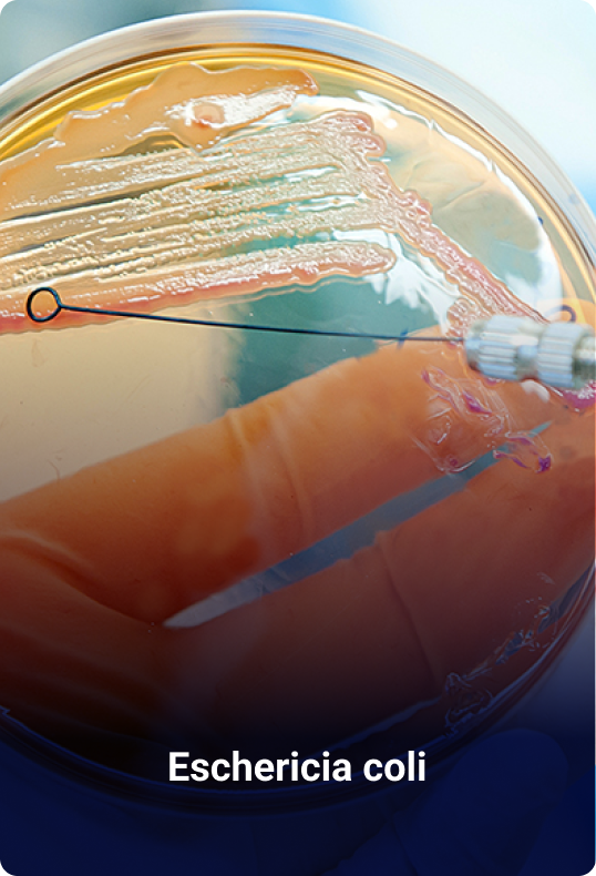 Chemical and Microbiological Laboratory Test Services