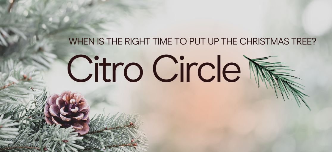 Talkback what date should your Christmas tree be up?