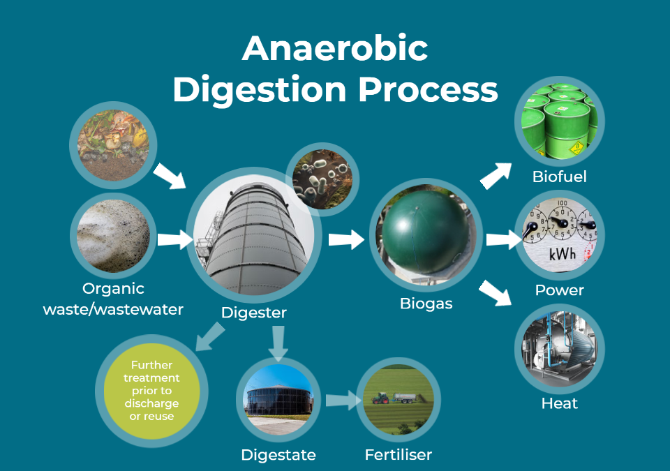 Anaerobic Digestion in Wastewater Treatment | Alpheus