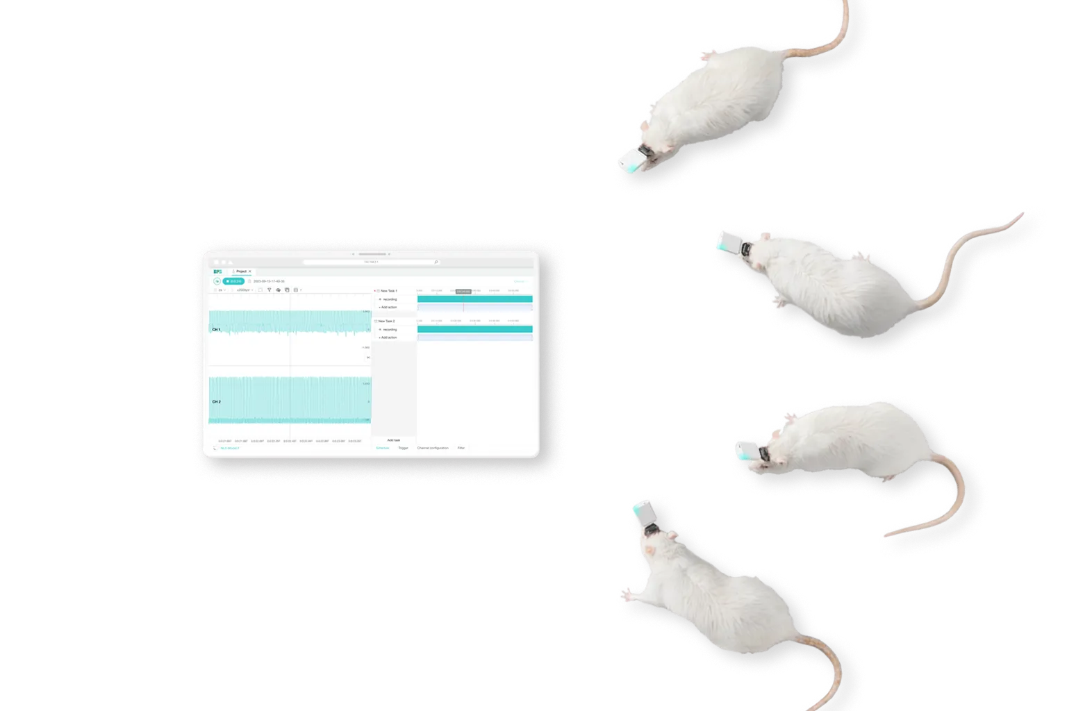 View of NeuLive - Using a non-invasive method to stimulate brain activity and ...