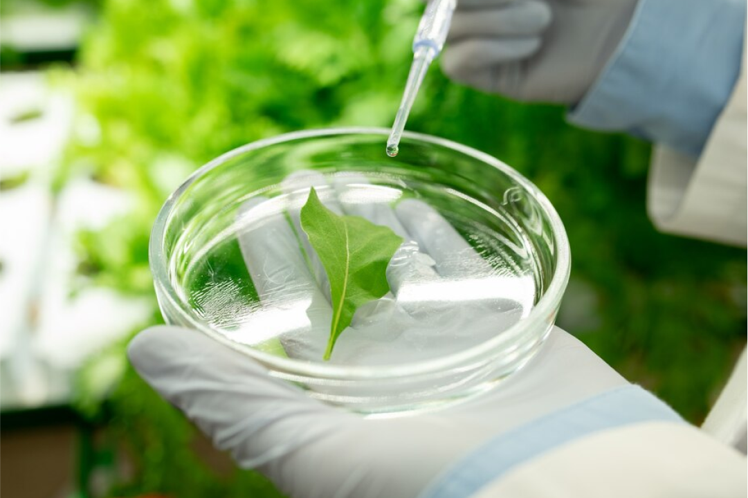 Reagentes Reagentes Químicos e Sustentabilidade: Contribuições para um Futuro ...