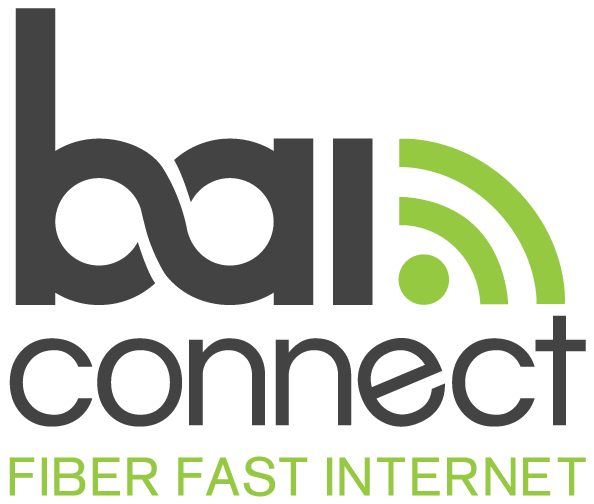 BAI Connect An Infrastructure Guides Partner