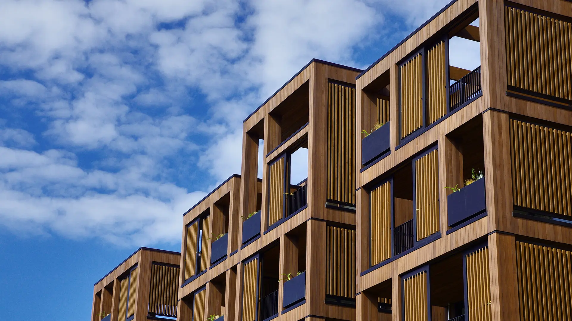 Mass Timber: Shaping the Future - Forestry For The Future