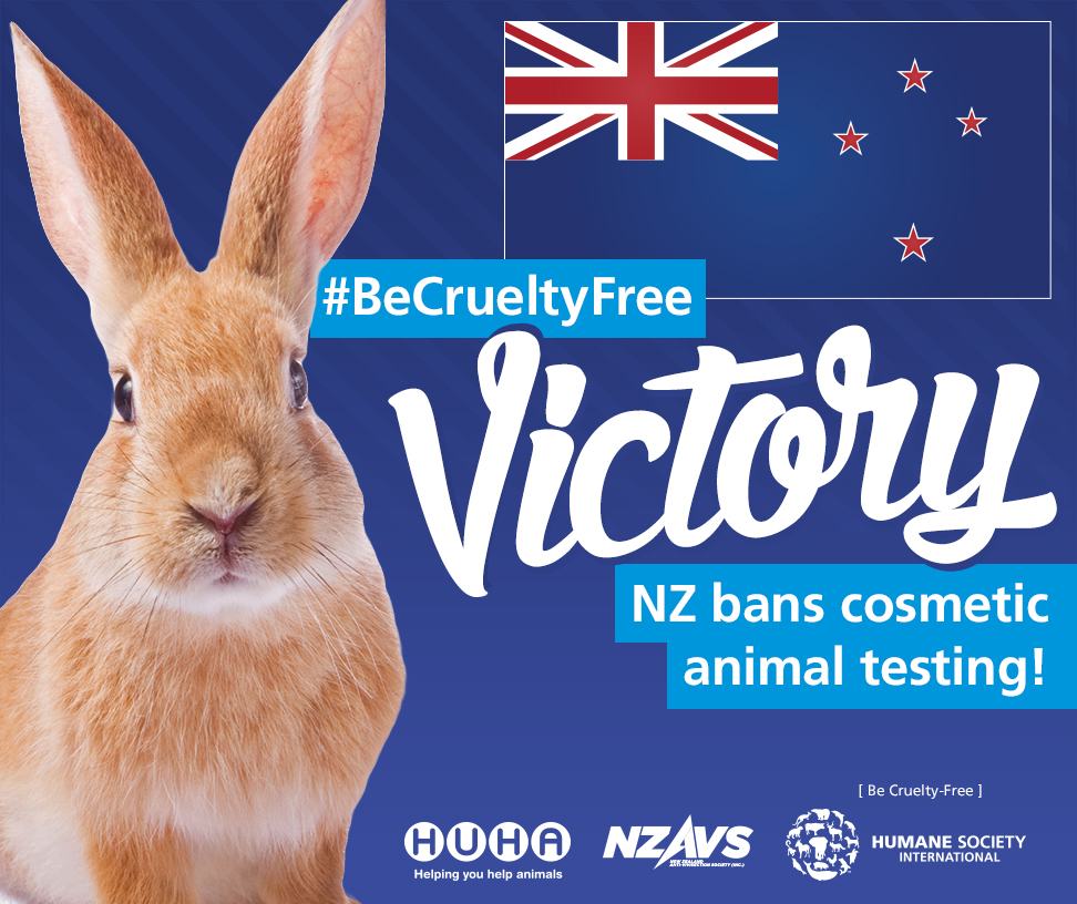 NZ Passes Cosmetics Animal Testing Ban NZAVS Ending Animal