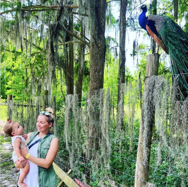 Image of a woman holding her child who is gazing up at a peacock perched on top of a tree stump