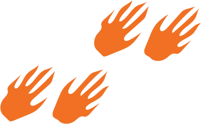 Crocodile footprints walk across the page