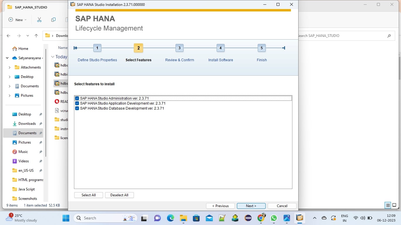 Download and Install SAP GUI on Windows - Connection parameters