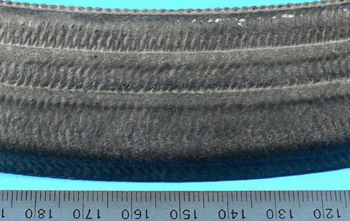 MSV Stellite Cracking Failure Analysis, 2018