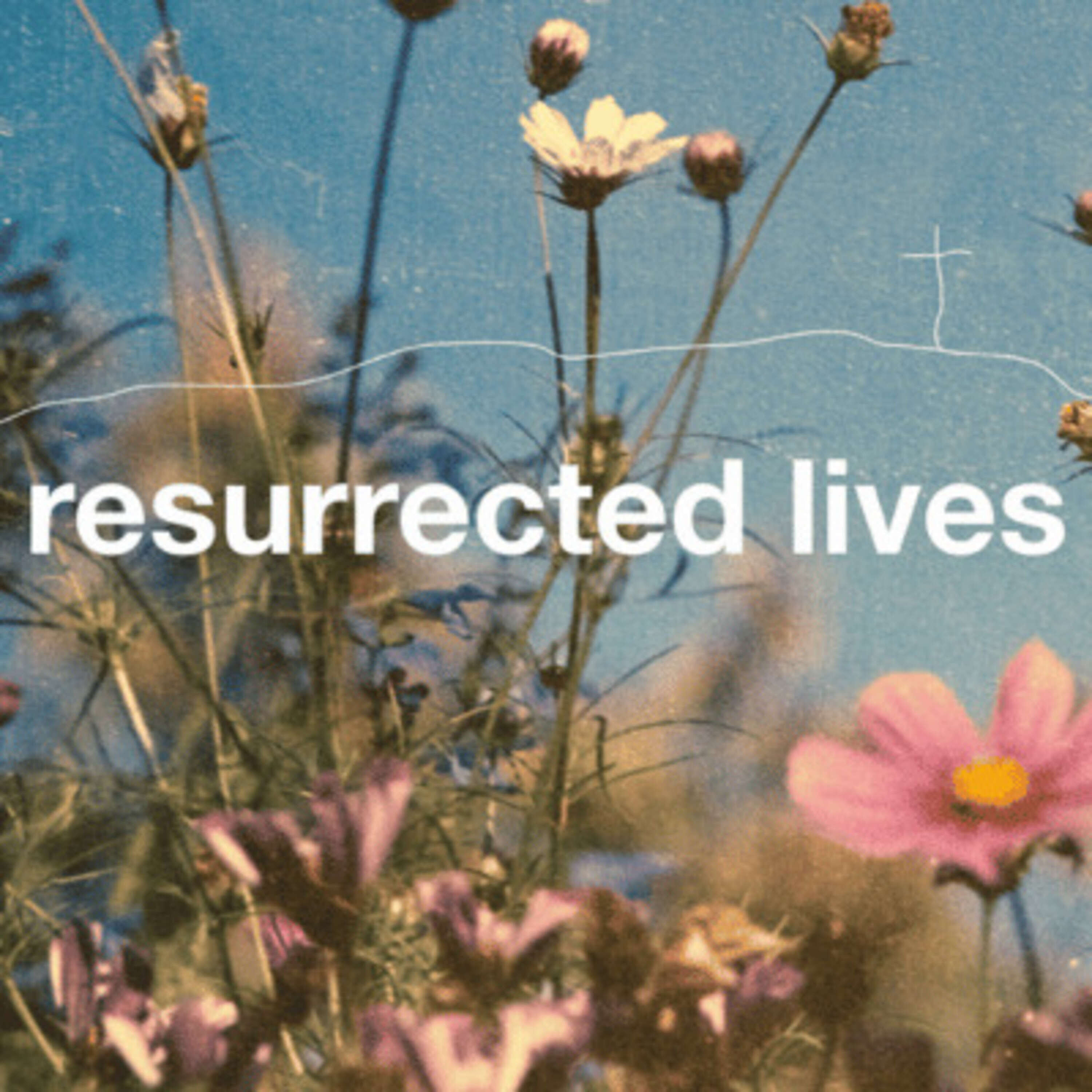 Resurrected Lives Kids of the Kingdom Sermons Elm City Vineyard