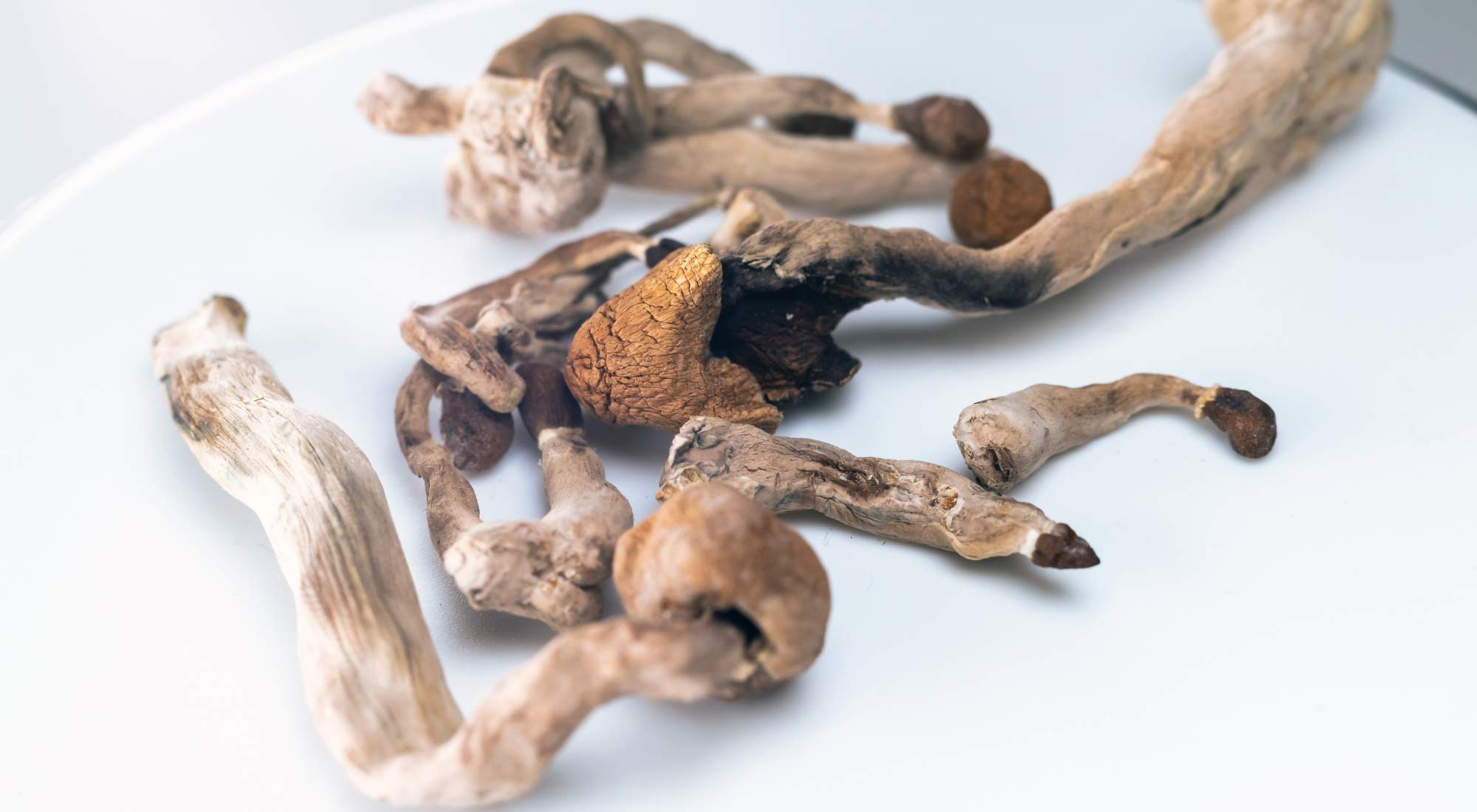 Mushrooms and Alcohol Risks and Potential Help With Alcohol Use