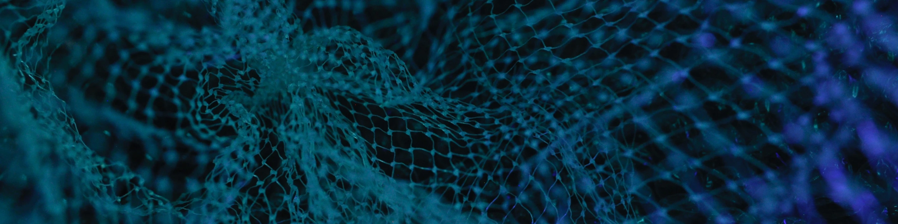 Claims Segmentation and Triage Analytics for Healthcare. Big Data in Healthcare