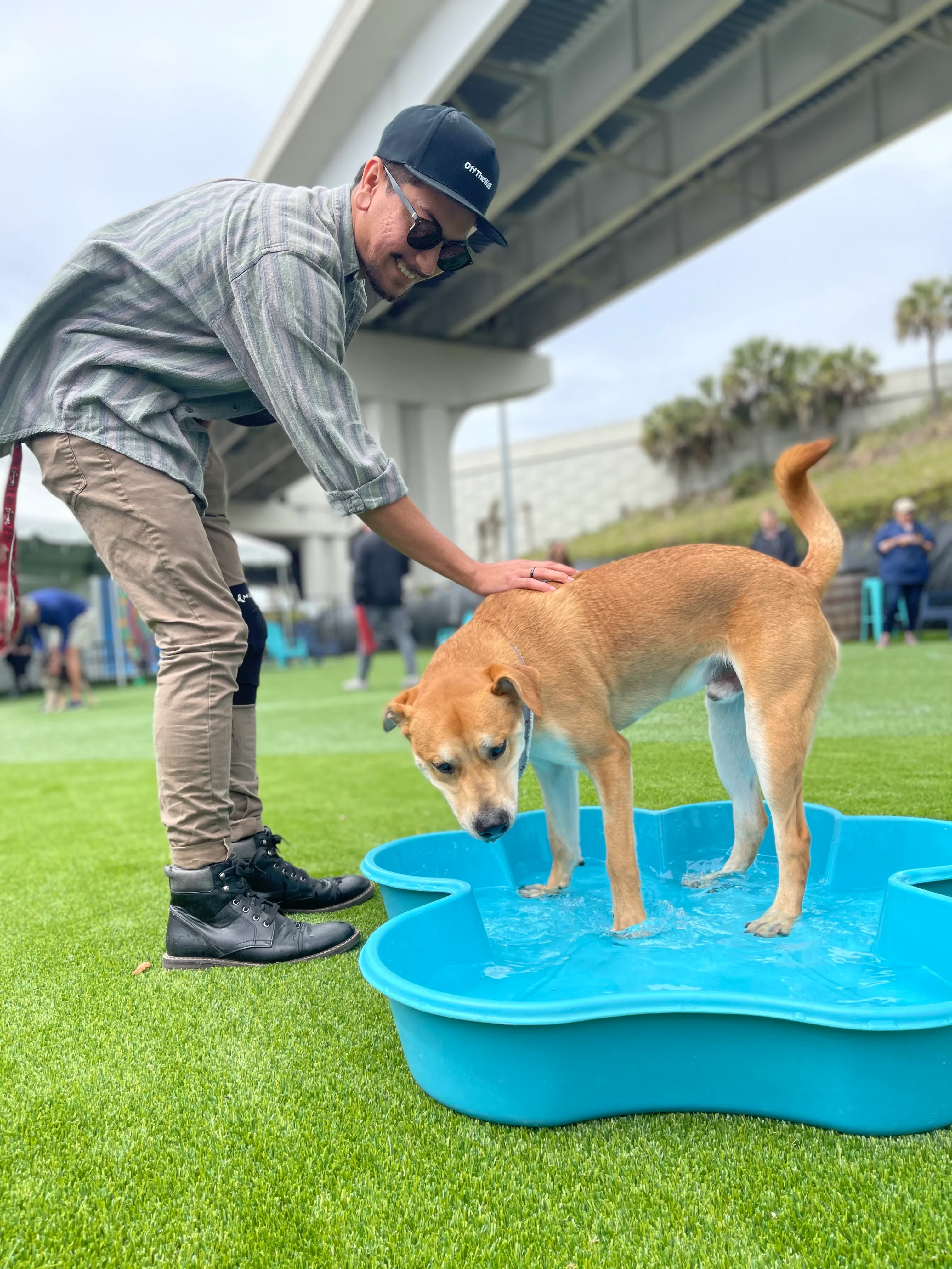 The Block Jax: Jacksonville Outdoor Event Space & Dog Park