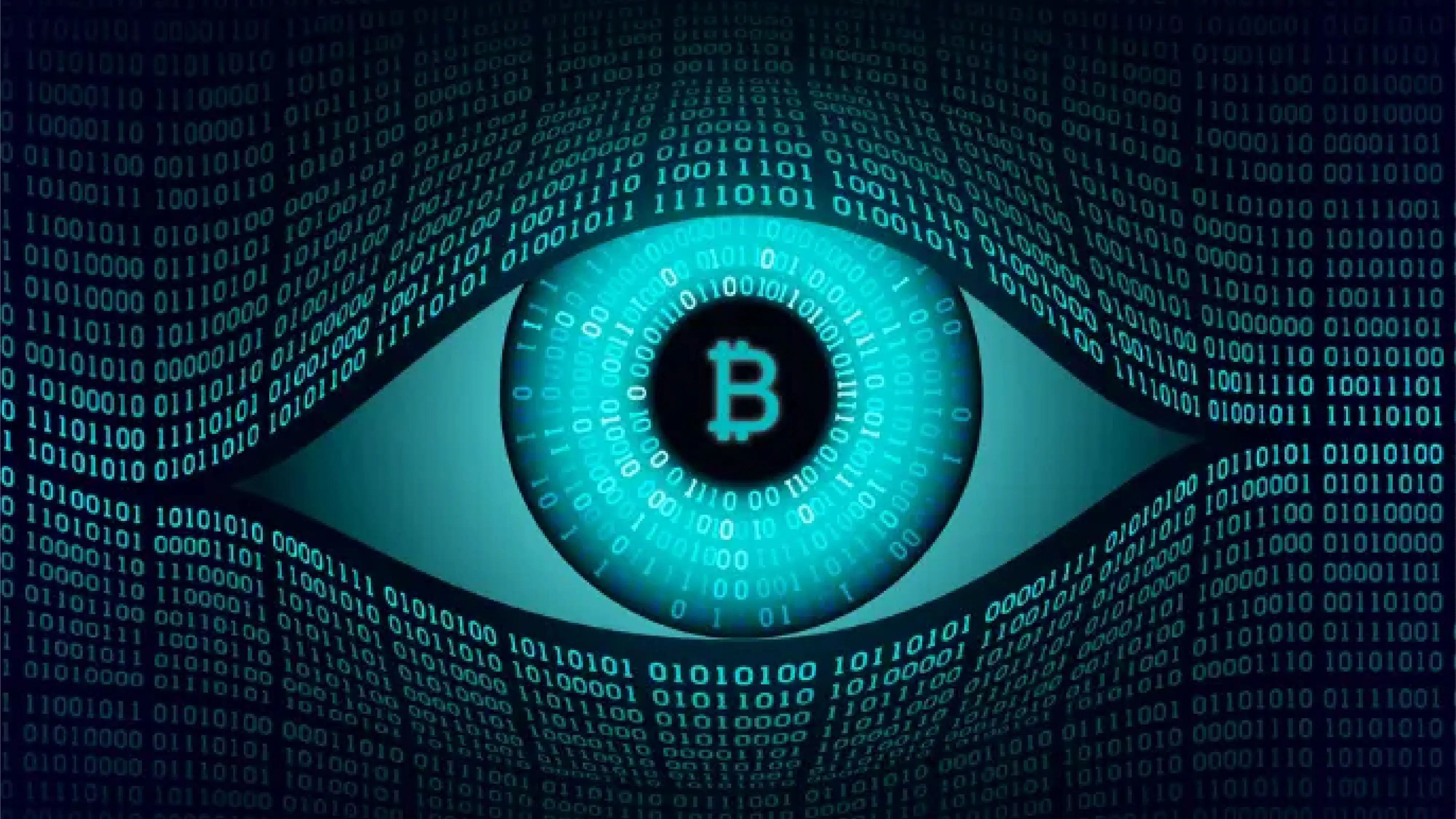 AML CFT In Action How Regulations Impact Virtual Digital Asset Service aml-cft-in-action-how-regulations-impact-virtual-digital-asset-service