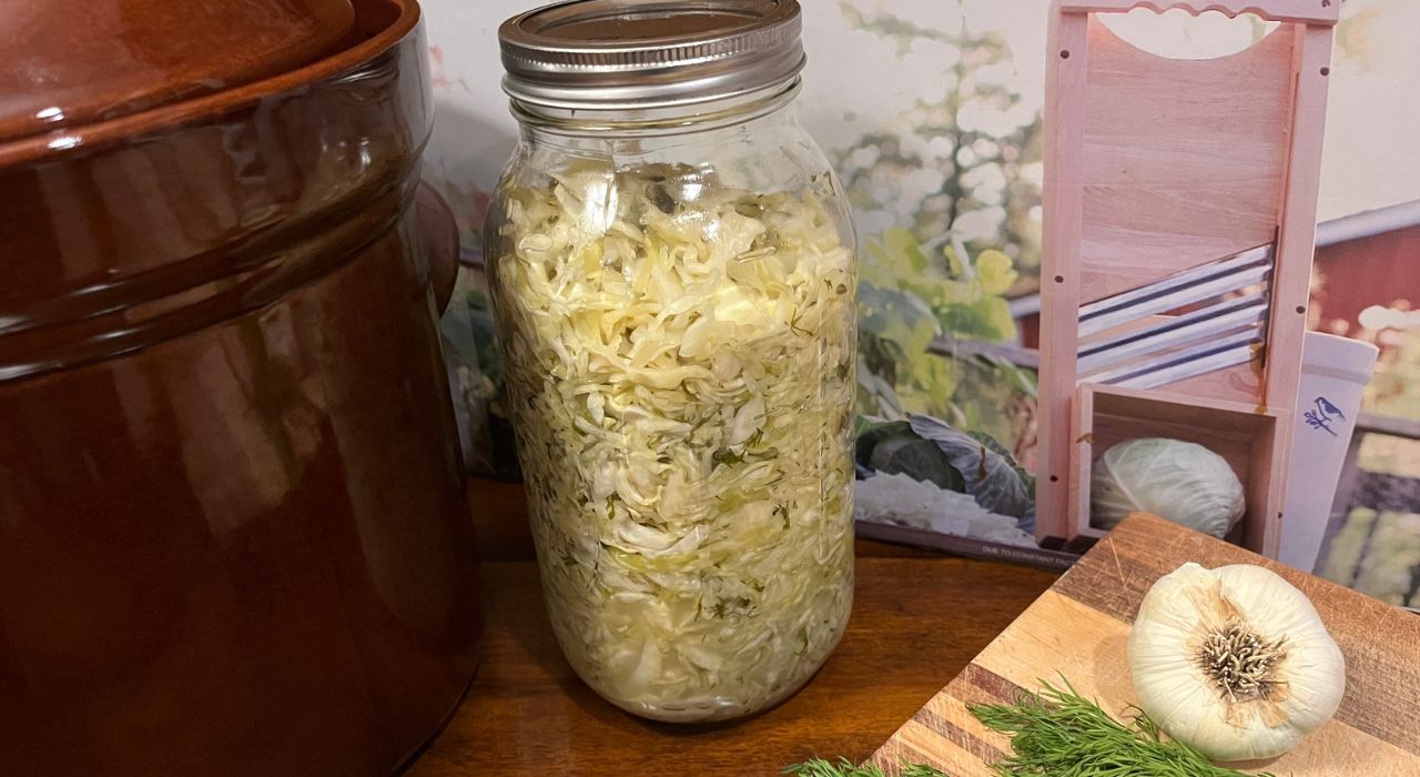Sauerkraut with Garlic and Dill Recipes NT for IBD