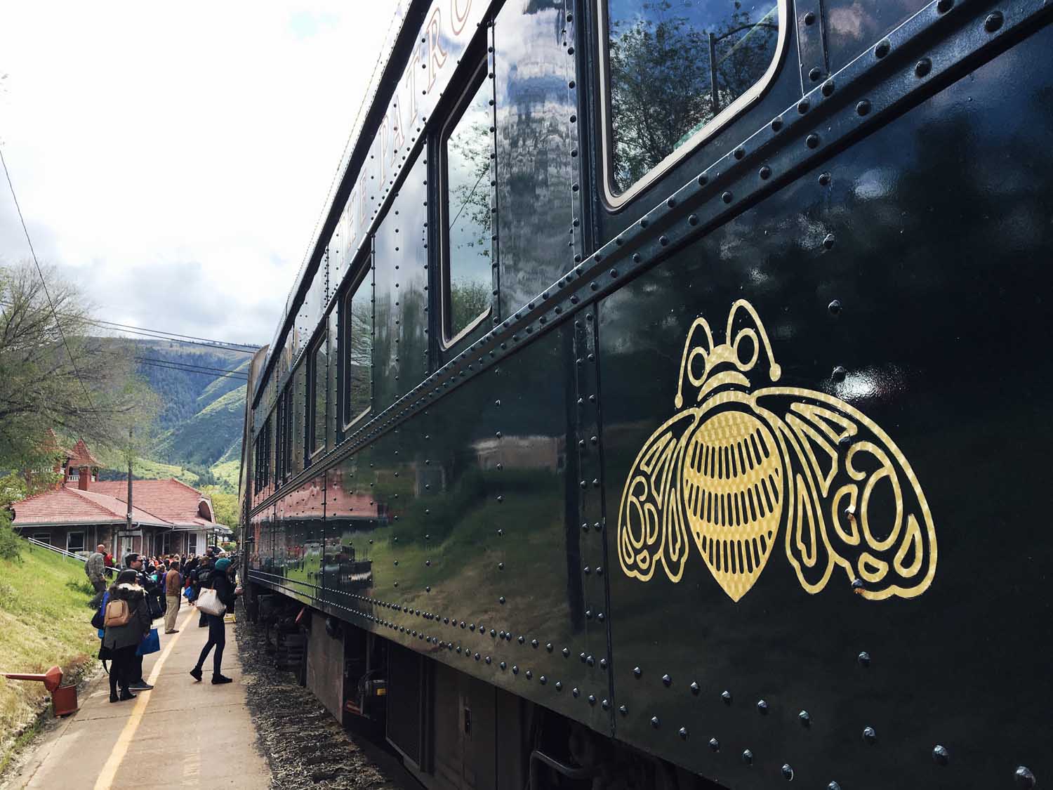 Tequila Patrón Express AERO Marketing