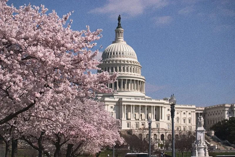 The Guestbook Hotel Cash Rewards Program