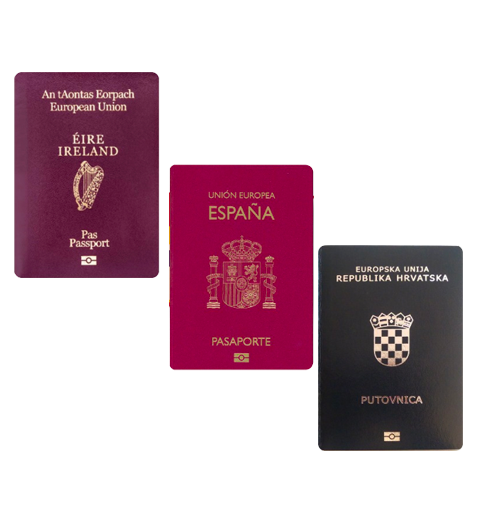 Home [www.globalpassport.ai]