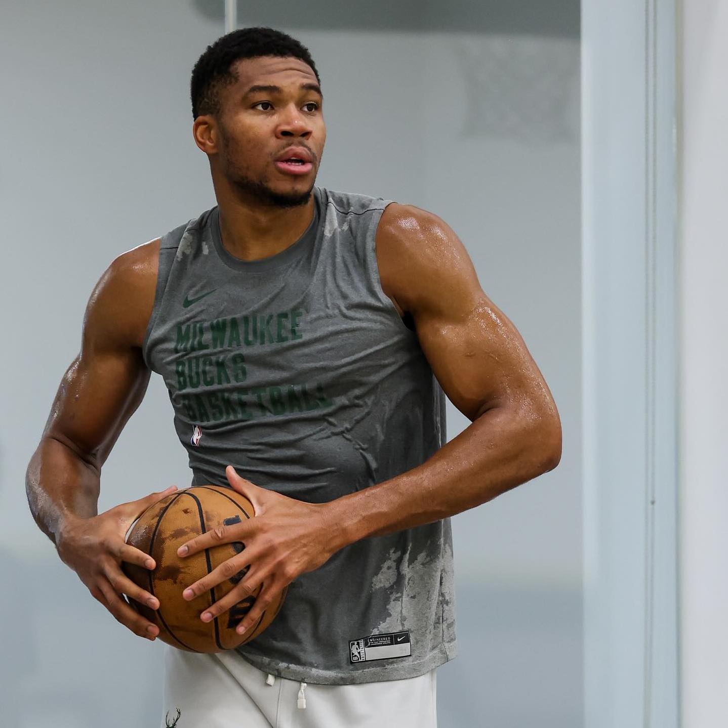 giannis antetokounmpo air force 1