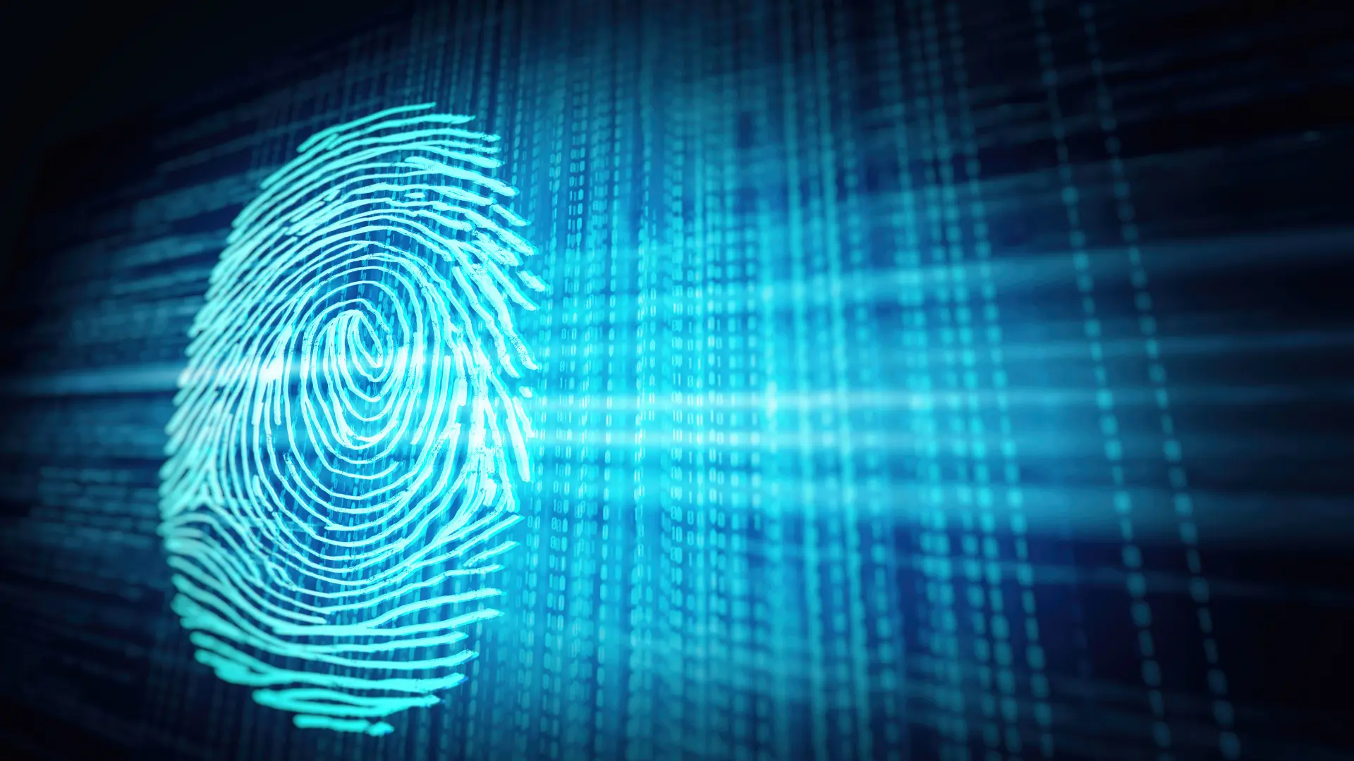 Illinois Biometric Information Privacy Act How to Comply Aleada