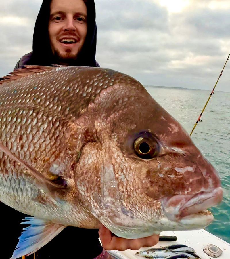 Straylining - Fishing Guide