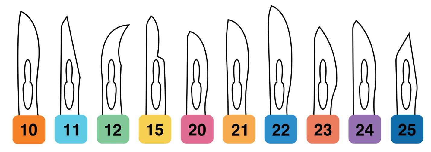 Surgical blade sizes and shapes according to the American National Standards Institute (ANSI) scale, which spans from sizes 10 to 25