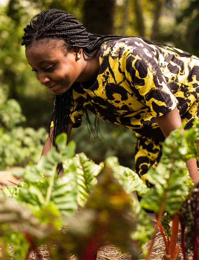 Explore Minerva Meta