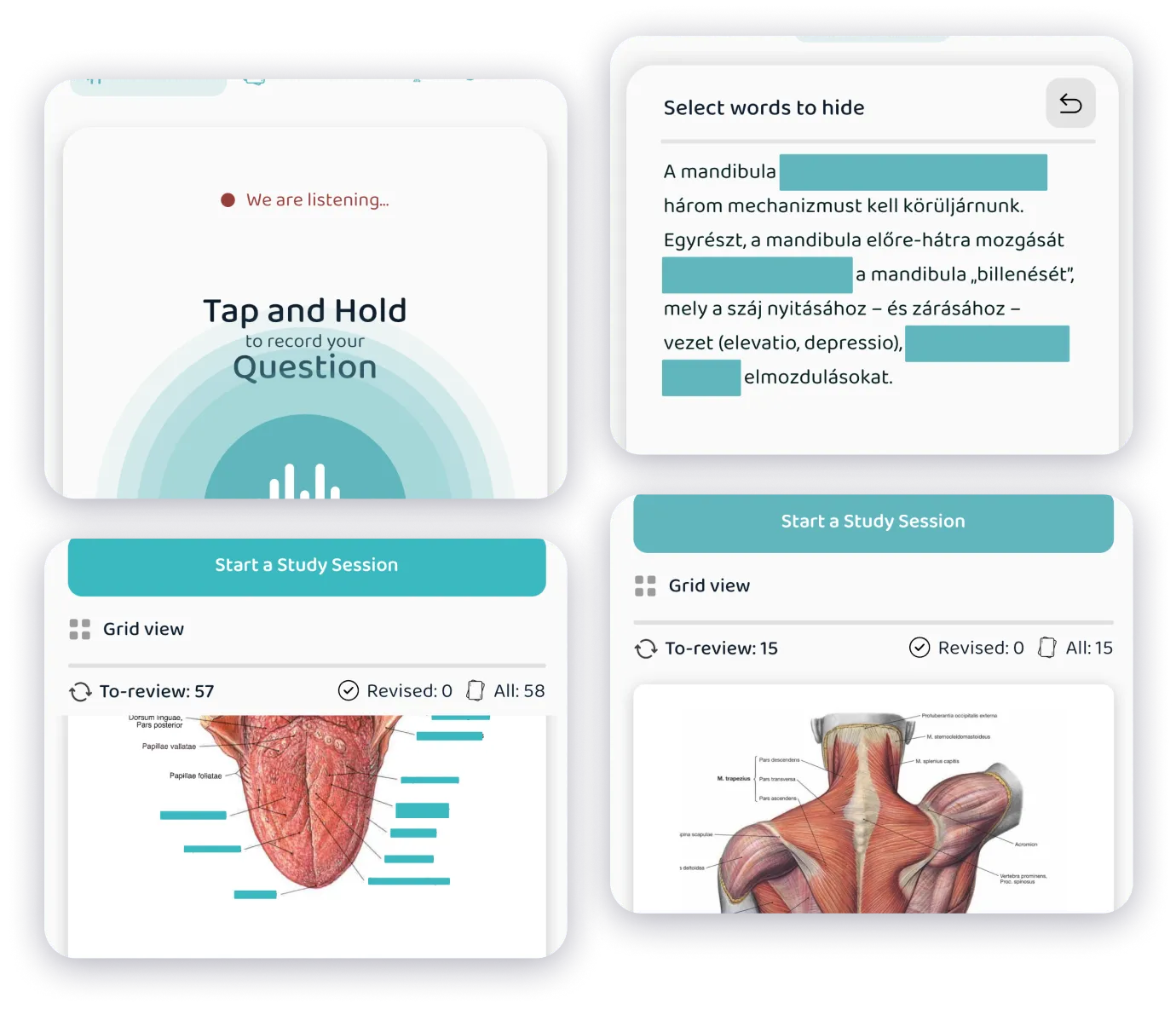 voice card, fill in the blanks, diagram card screenshots
