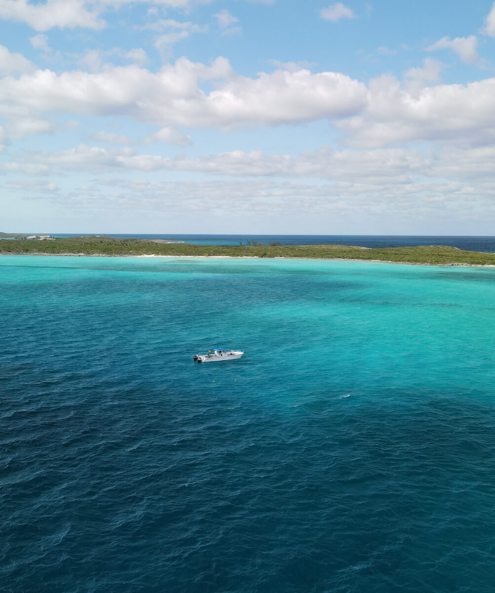 Estimating Wind Speed and Direction Using Wave Spectra