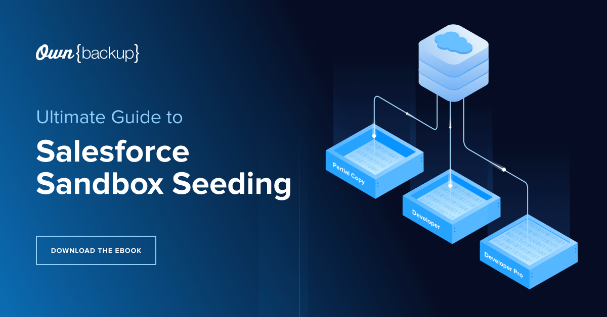 Ultimate Guide to Sandbox Seeding in Salesforce