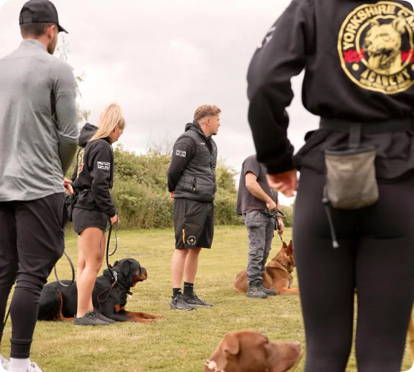 Leeds Dog Training Classes 1000's of Success Stories