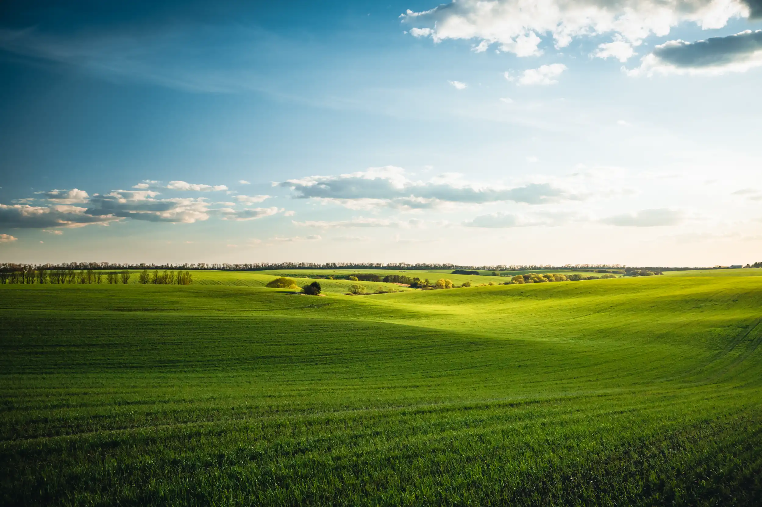 Timbalier Resources Building a Sustainable Future through Infrastructure