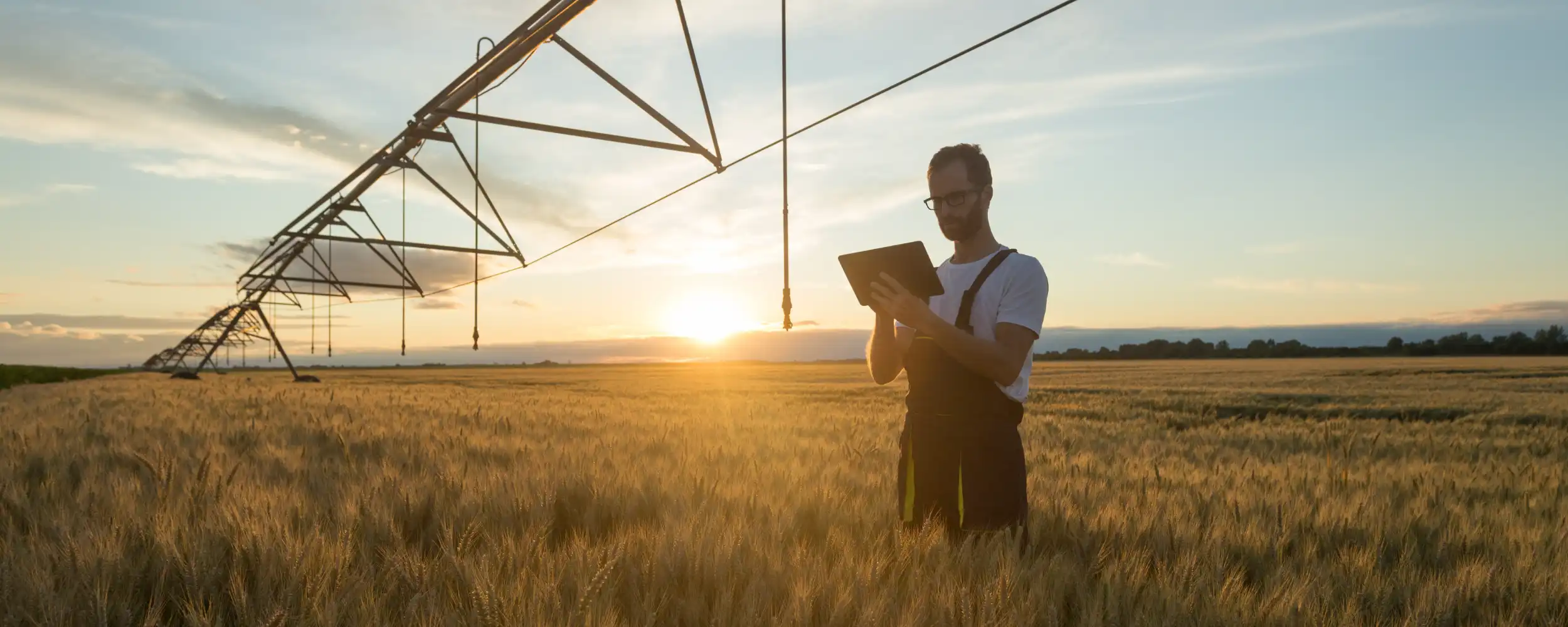 Technology Timbalier Resources