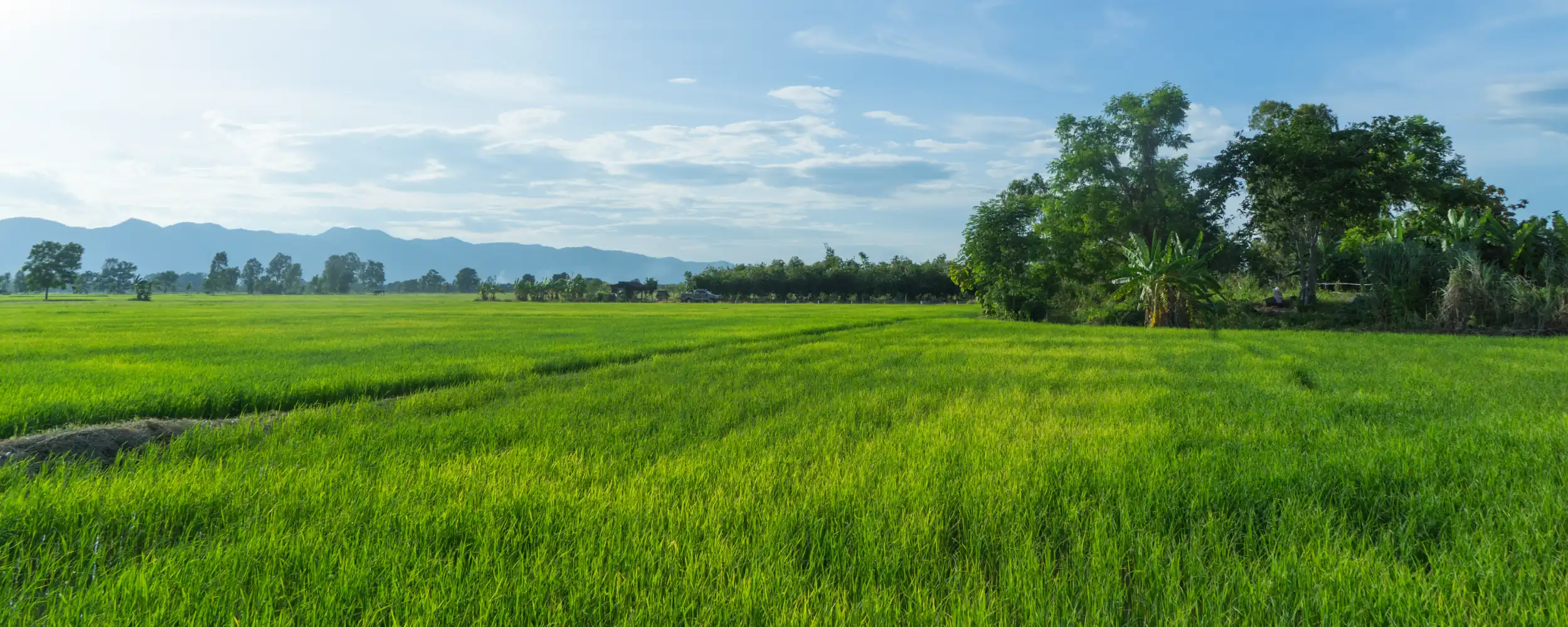 Land Services Timbalier Resources