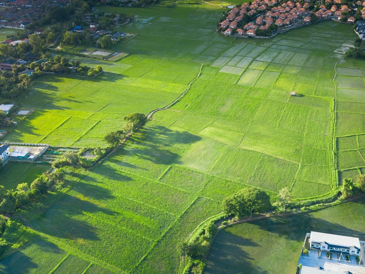 Land Services Timbalier Resources