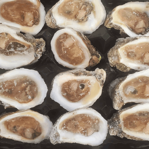 Welcome to the Freshest Seafood in Indiana | Steve & Cheryl Yochum ...