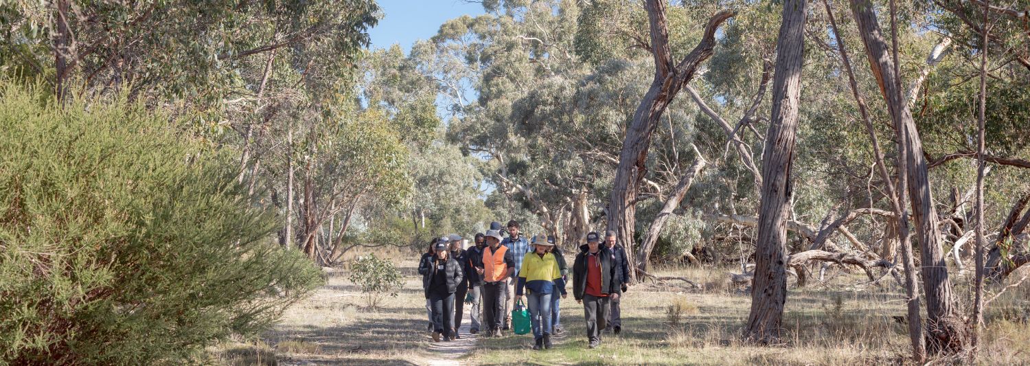 A group of people walk through a Bank Australia conversation reserve 