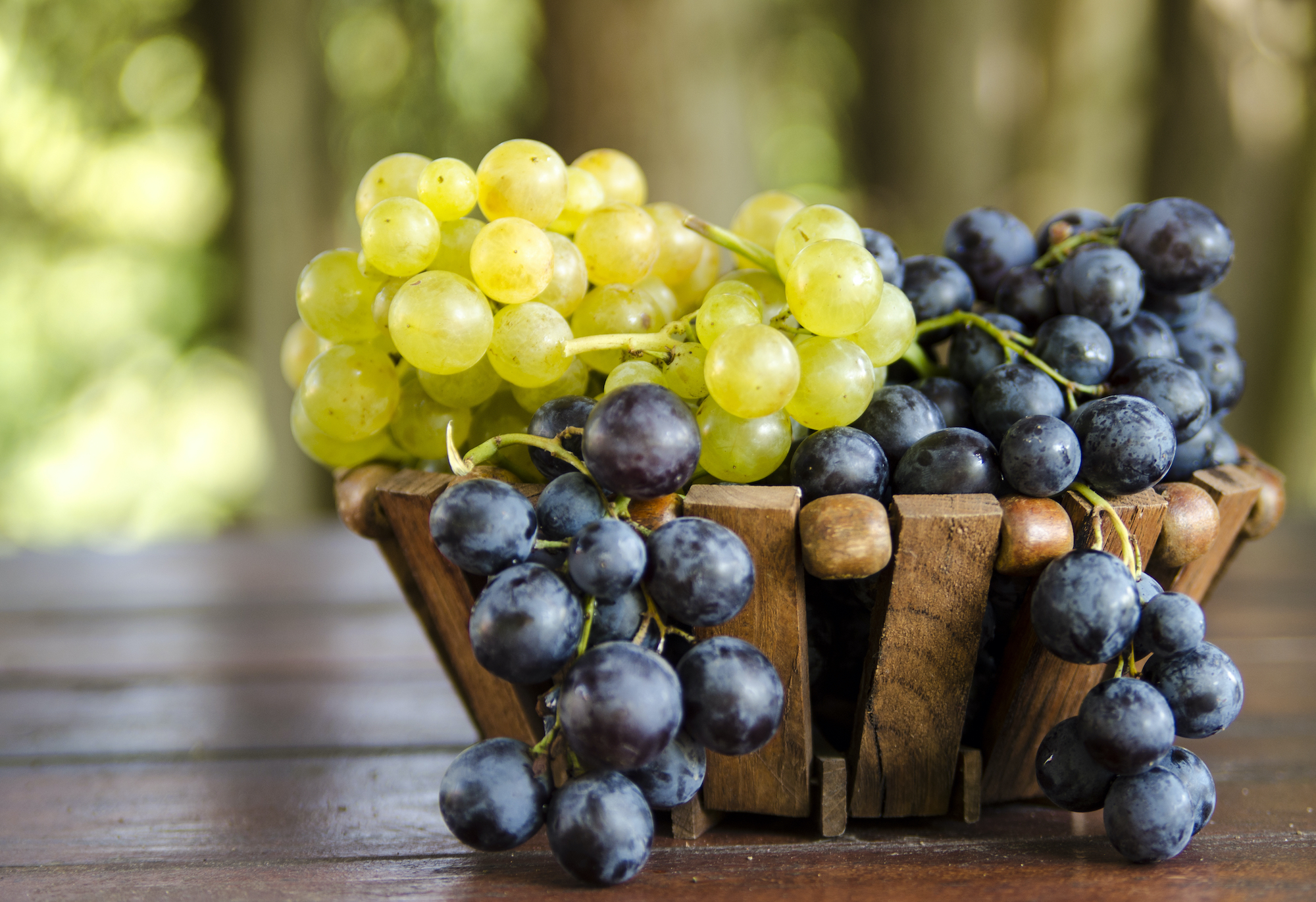 Le Rasin Le raisin - ma cuisine - Ma Campagne magazine