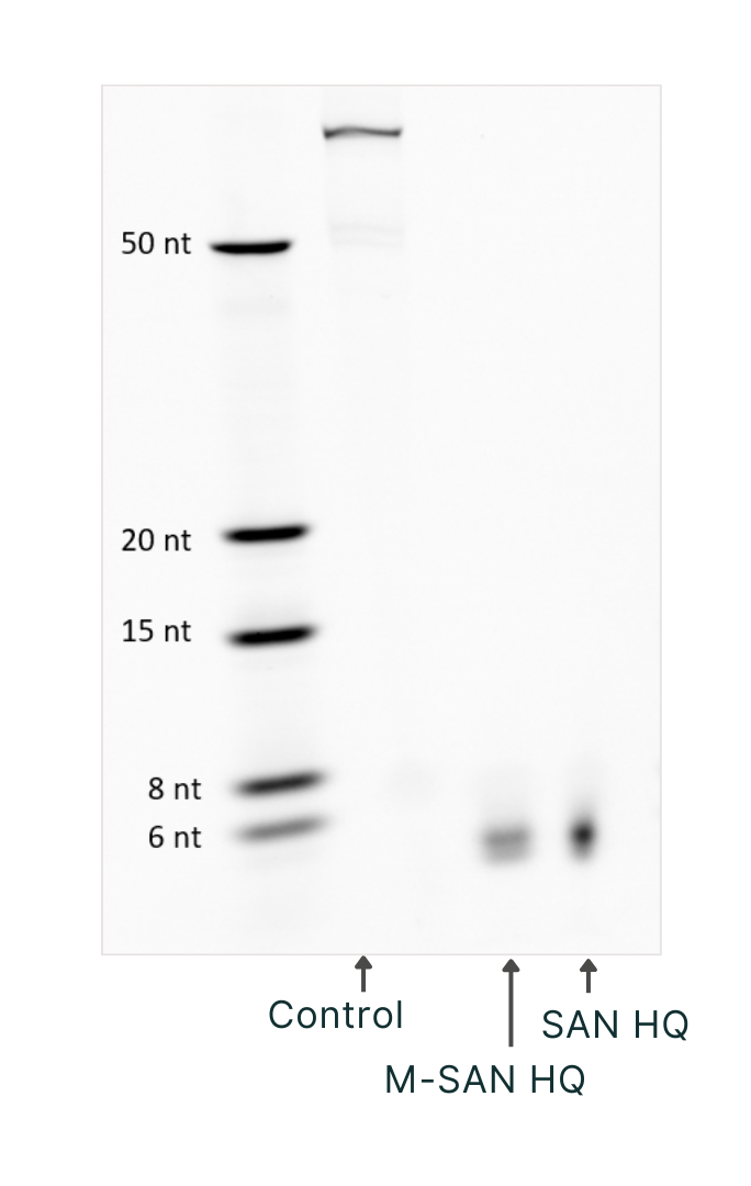 M-SAN HQ (Physiological Conditions) - Efficient Residual DNA Fragmentation