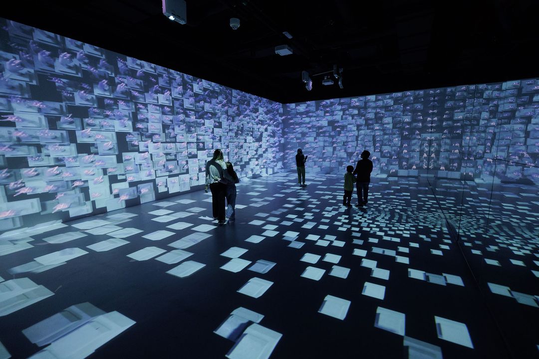 Arcadia Earth An Immersive Art & Technology Experience