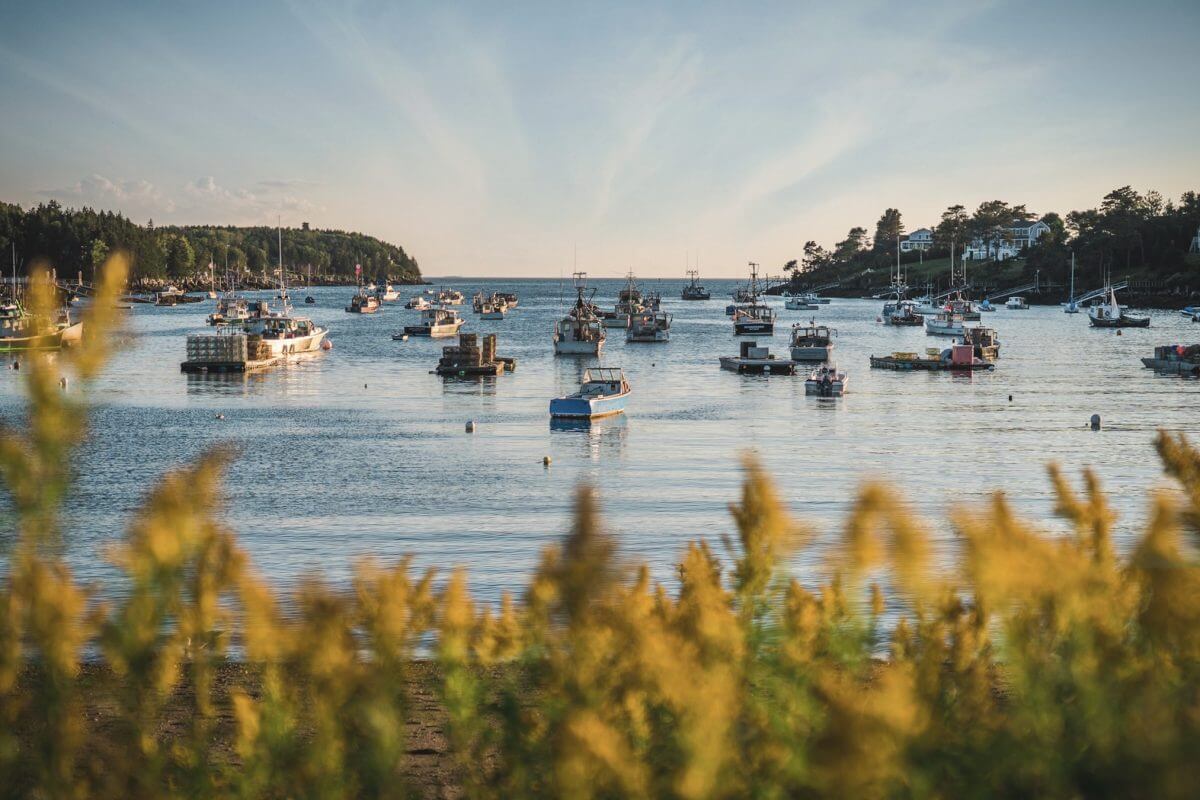 Johnson Field Preserve at Mackerel Cove Harpswell, Maine GoXplr