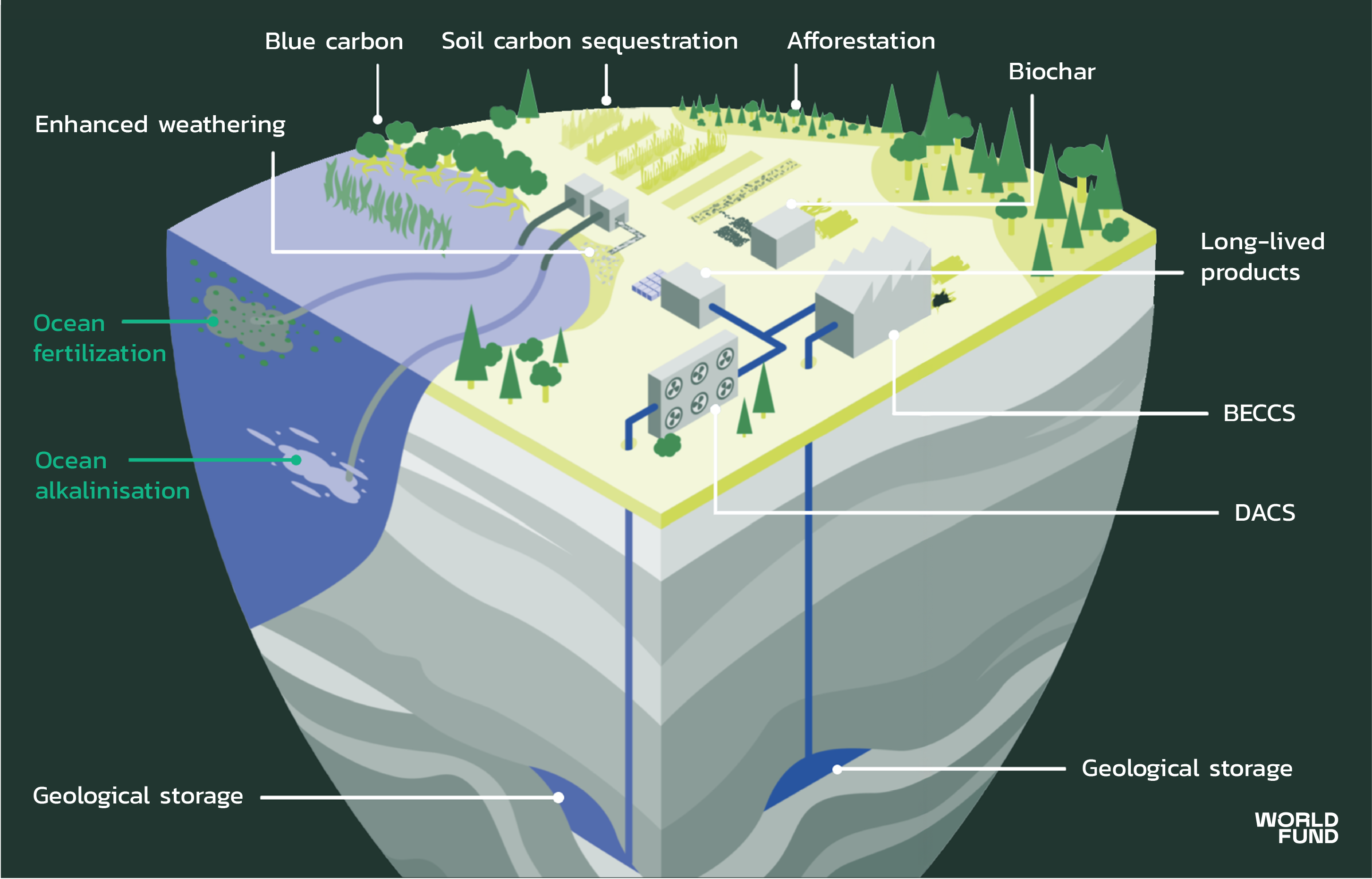 The state of: carbon removal | World Fund