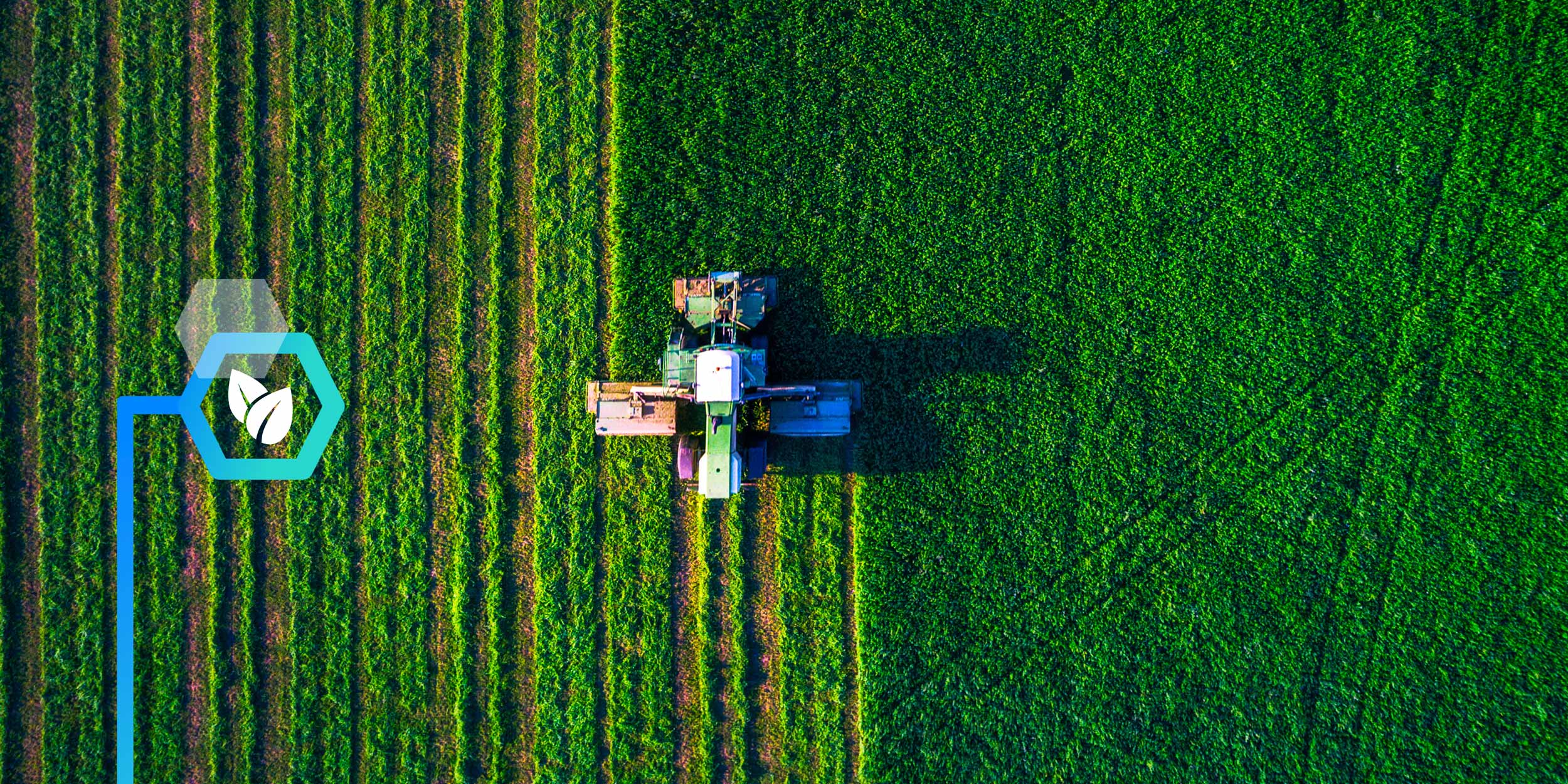 Unilever partners with NatureMetrics to deliver regenerative farming