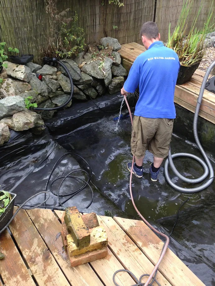 Pond Cleaning in London Maintenance & Fish Health Checks