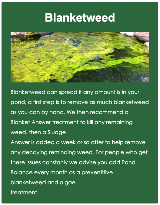 What is Blanket Weed? How to Avoid & Prevent it Pond Services