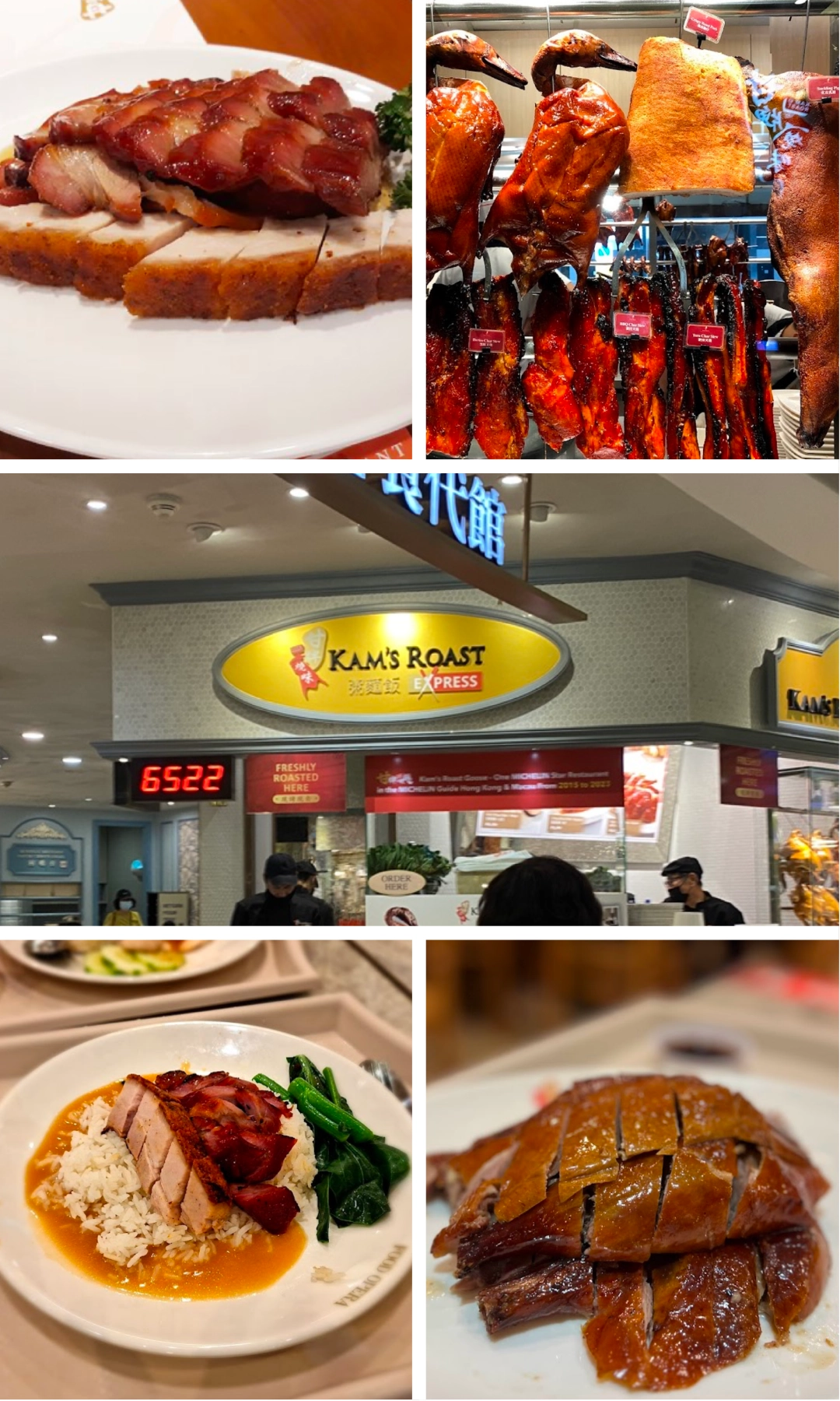 The Ultimate Guide to Singapore's Roast Duck Delicacies
