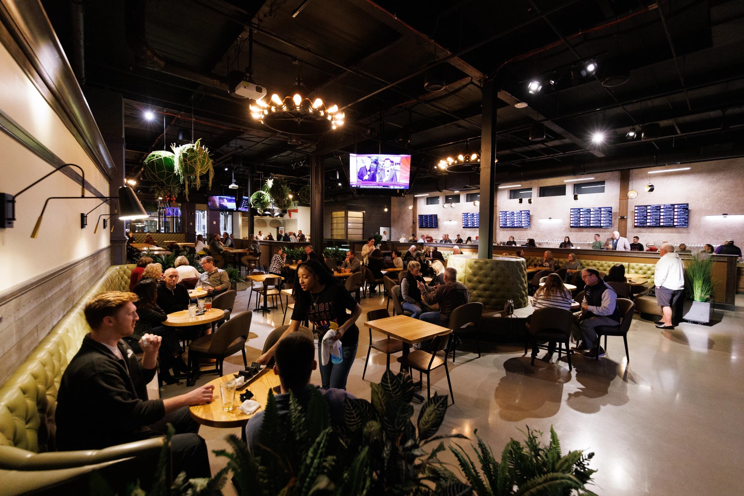 Elicit Fairfield Drinks