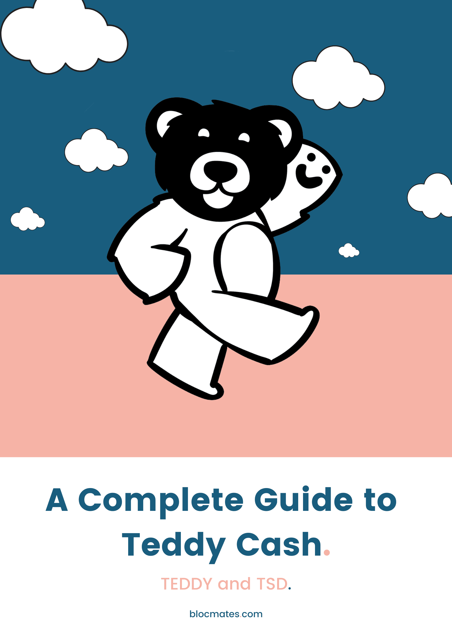 A Complete Guide to Teddy Cash TEDDY and TSD.