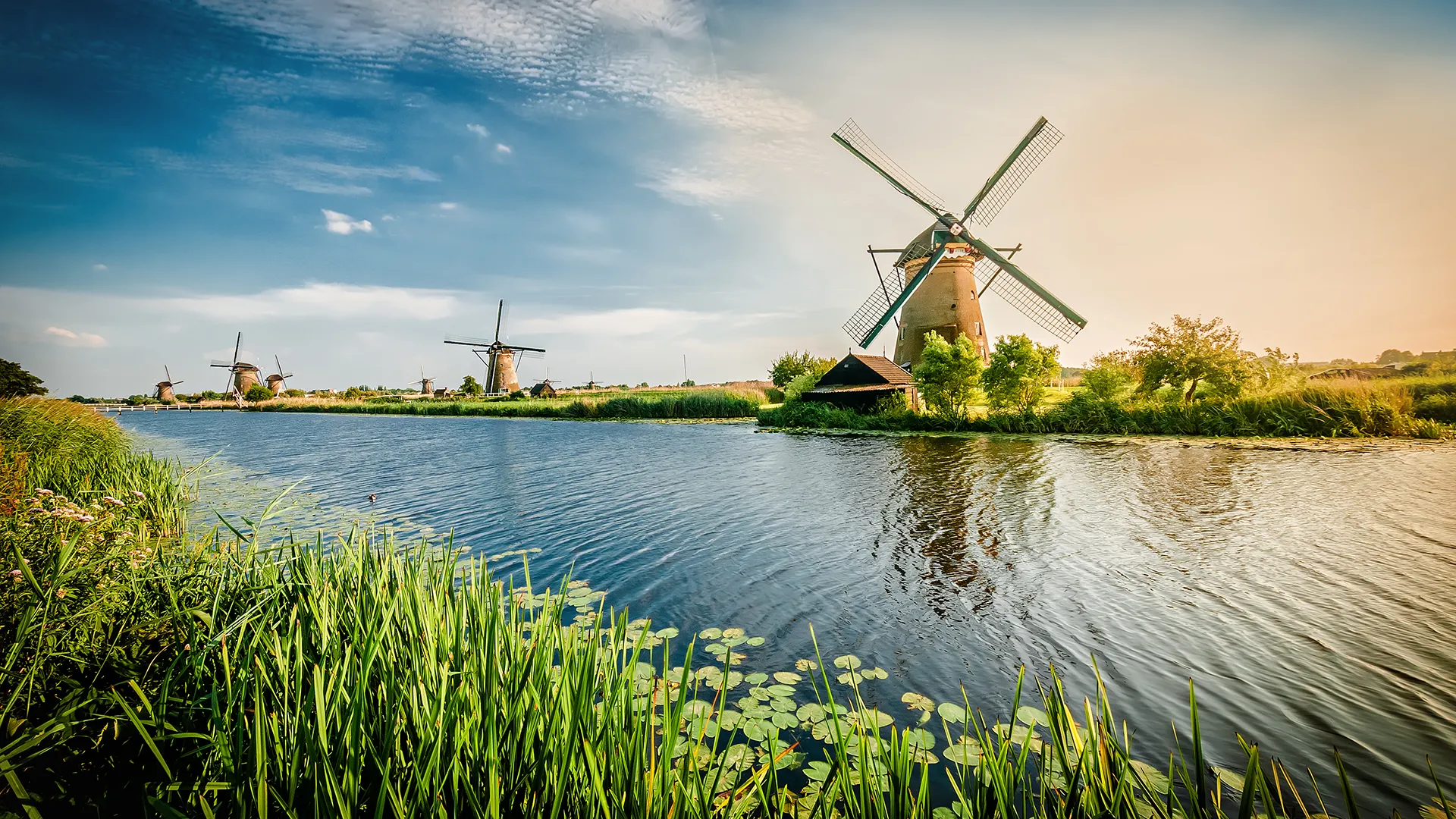 Hoe is de Nederlandse taal ontstaan?